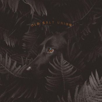 Old Salt Union album cover